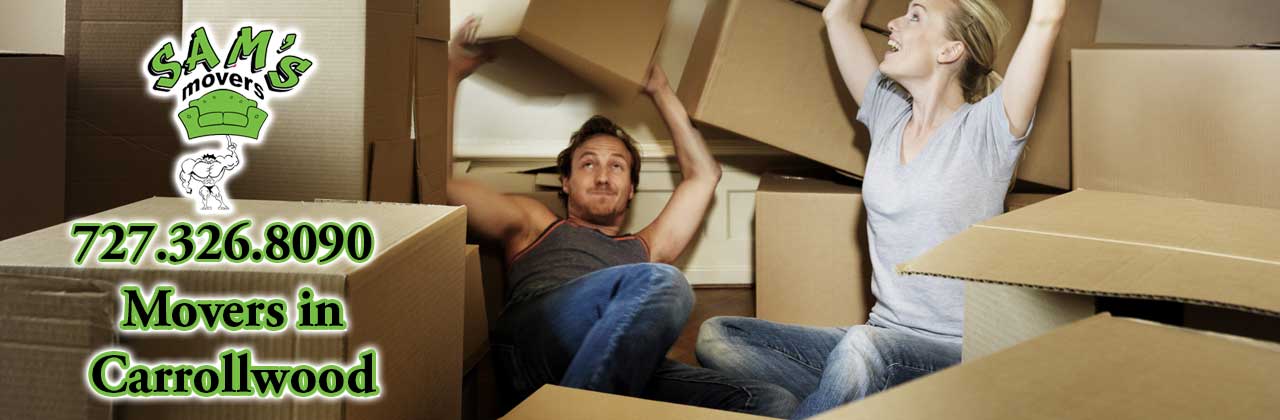 Carrollwood Movers Carrollwood FL
