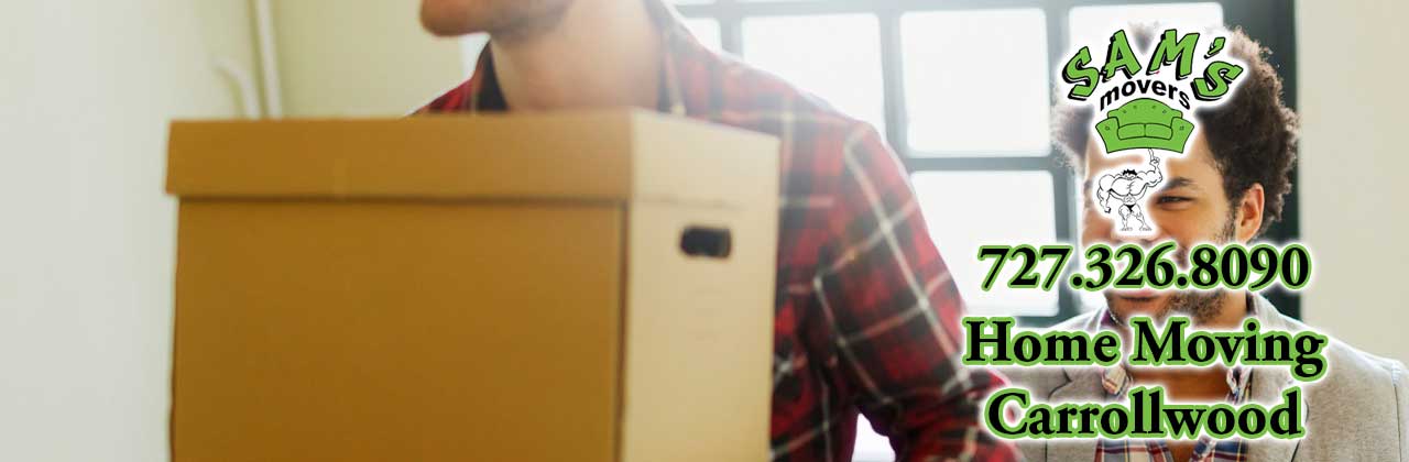 Carrollwood Movers Carrollwood FL