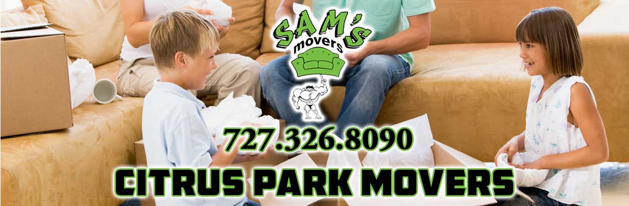 Citrus Park Movers Citrus Park FL
