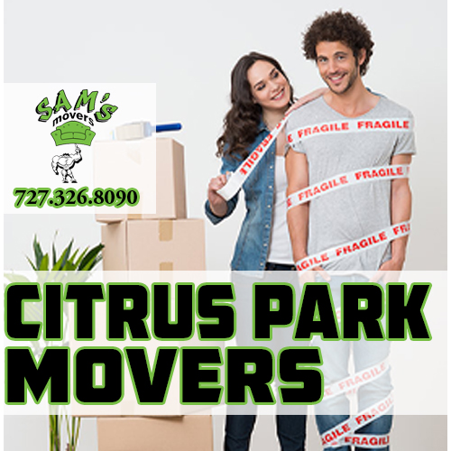 Citrus Park Movers Citrus Park FL