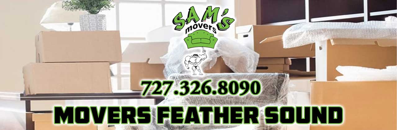 Feather Sound Movers Feather Sound FL Mover