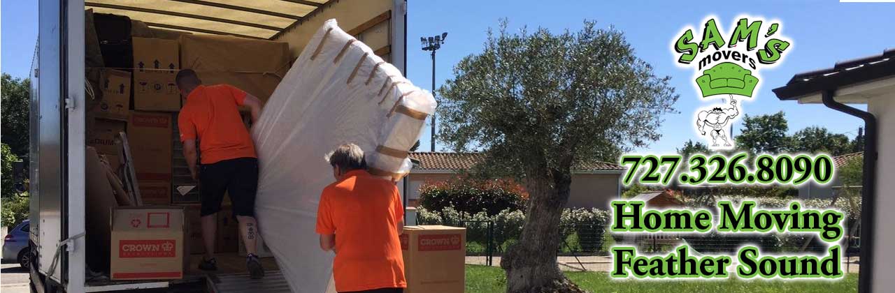 Feather Sound Movers Feather Sound FL Mover