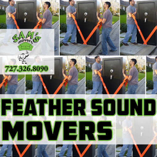 Feather Sound Movers Feather Sound FL Mover