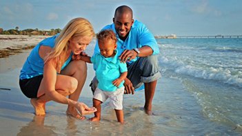 Home Movers St Pete