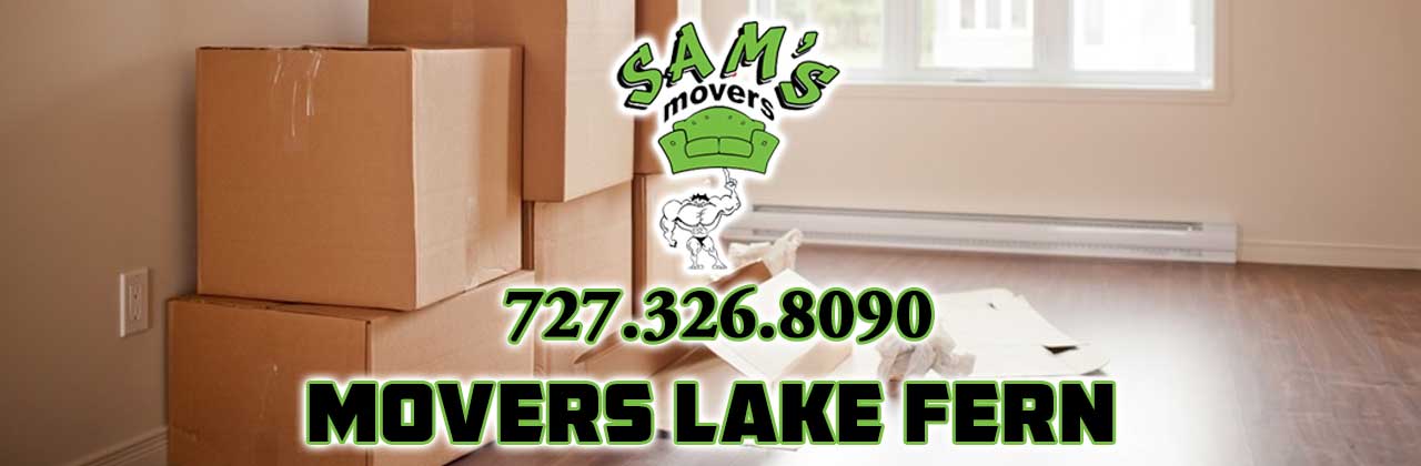 Lake Fern Movers Lake Fern Moving Company