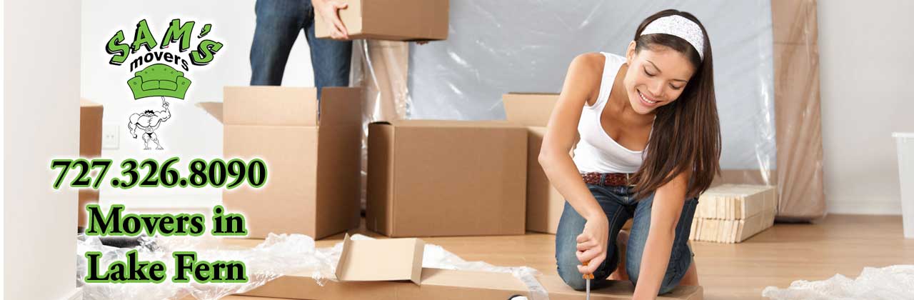 Lake Fern Movers Lake Fern Moving Company