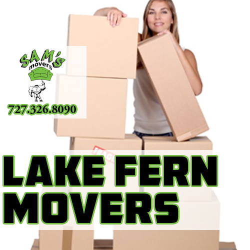 Lake Fern Movers Lake Fern Moving Company