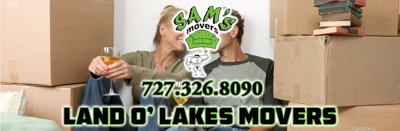 Land O Lakes Movers Land O Lakes FL Moving Company LOL Movers 34639