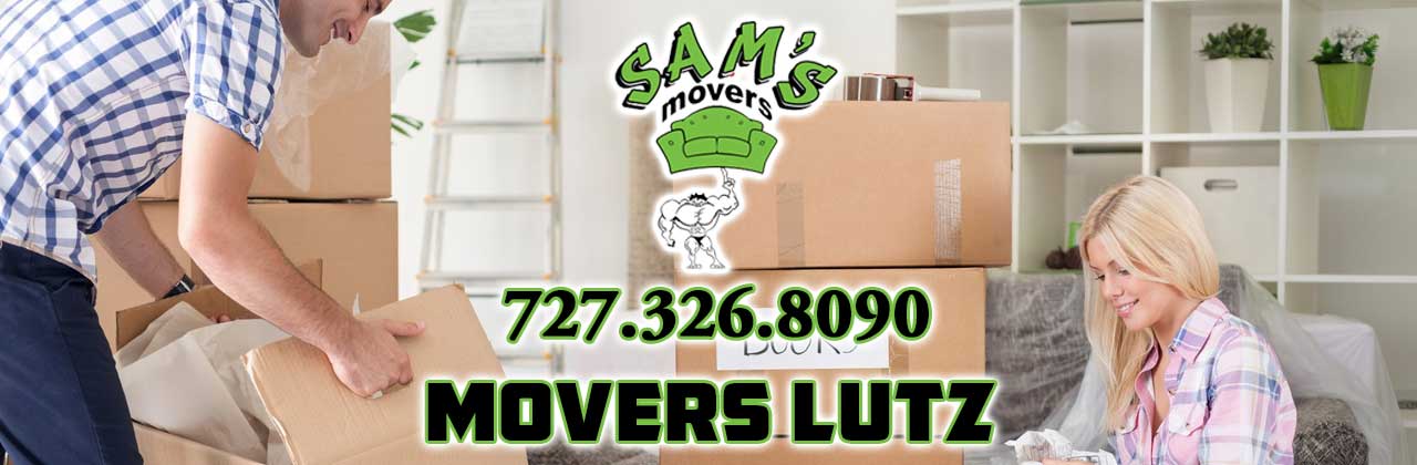 Lutz Movers Lutz FL Moving Company 33549