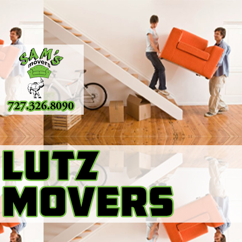 Lutz Movers Lutz FL Moving Company 33549