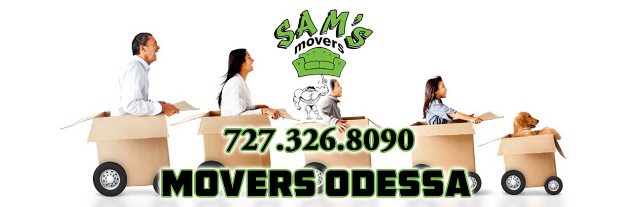 Odessa Movers Odessa FL Moving Company Odessa 33556 Movers