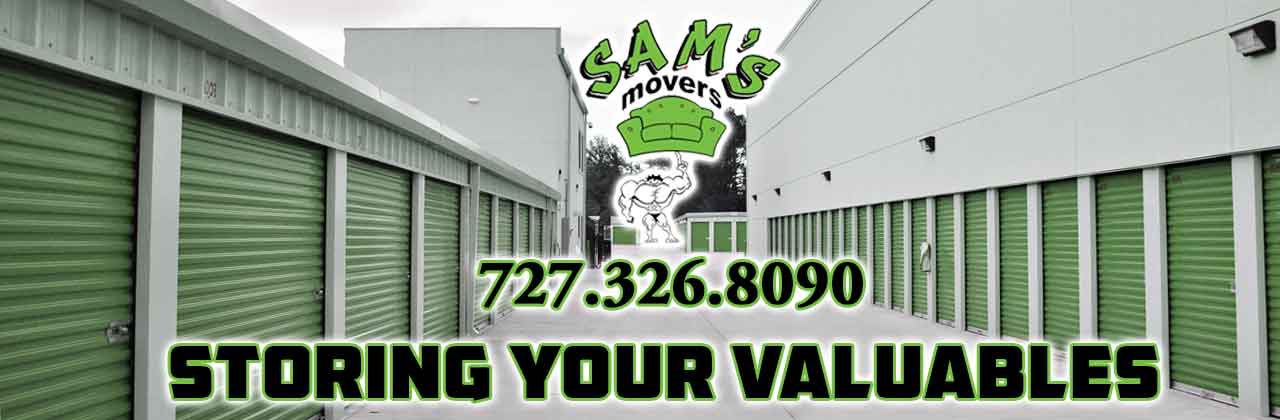 St Pete Movers With Storage Units