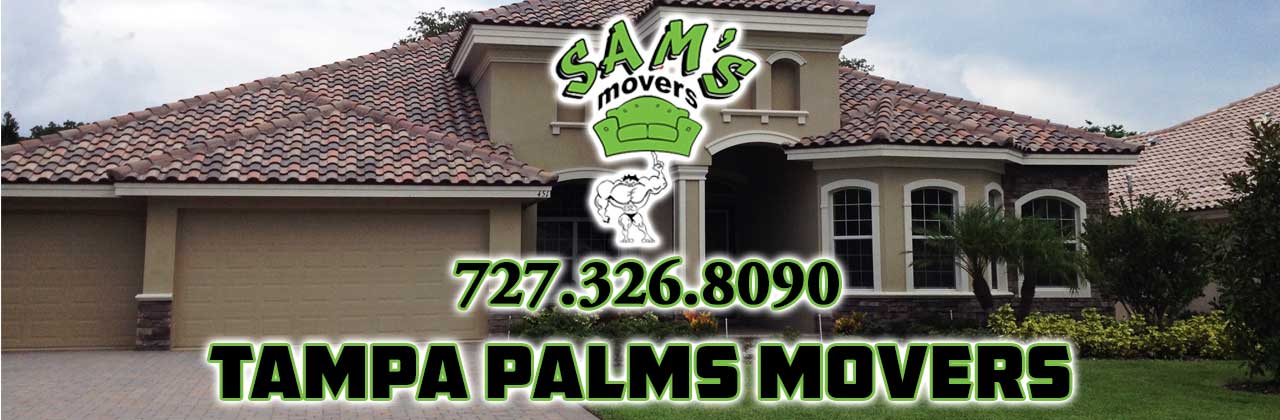 Tampa Palms Movers Tampa Palms FL