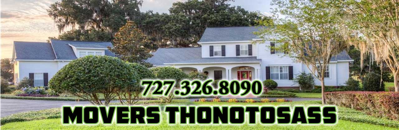 Thonotosassa Movers Thonotosassa Mover Thonotosassa Moving Company