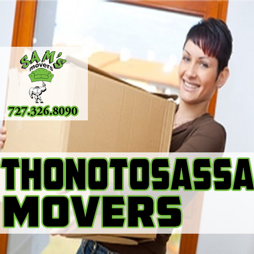 Thonotosassa Movers Thonotosassa Mover Thonotosassa Moving Company