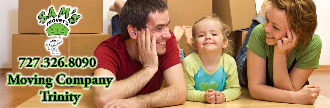 Trinity Movers Trinity FL Moving Company Trinity 34655 Movers