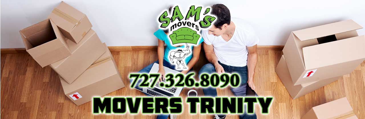 Trinity Movers Trinity FL Moving Company Trinity 34655 Movers