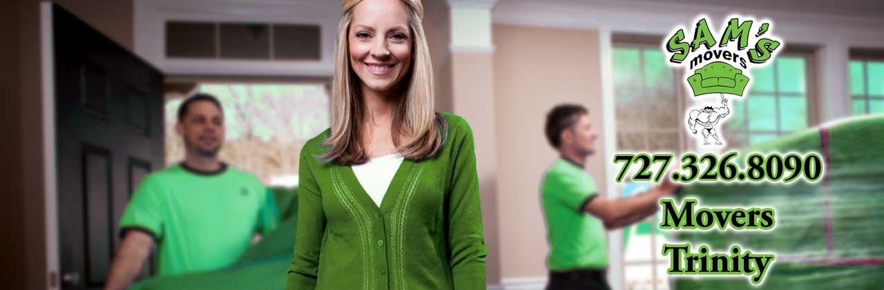 Trinity Movers Trinity FL Moving Company Trinity 34655 Movers