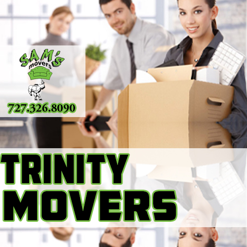 Trinity Movers Trinity FL Moving Company Trinity 34655 Movers
