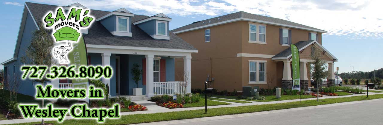 Wesley Chapel Movers Wesley Chapel Moving Company