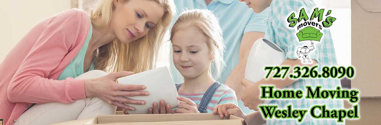 Wesley Chapel Movers Wesley Chapel Moving Company