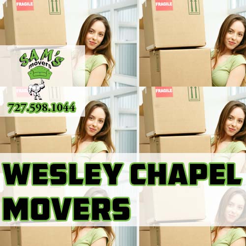 Wesley Chapel Movers Wesley Chapel Moving Company
