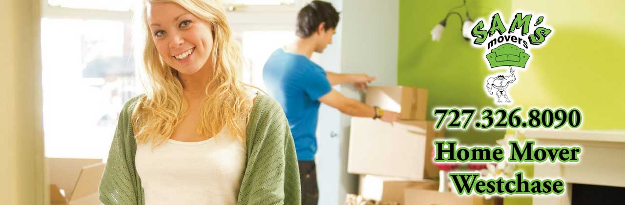 Westchase Movers Westchase FL